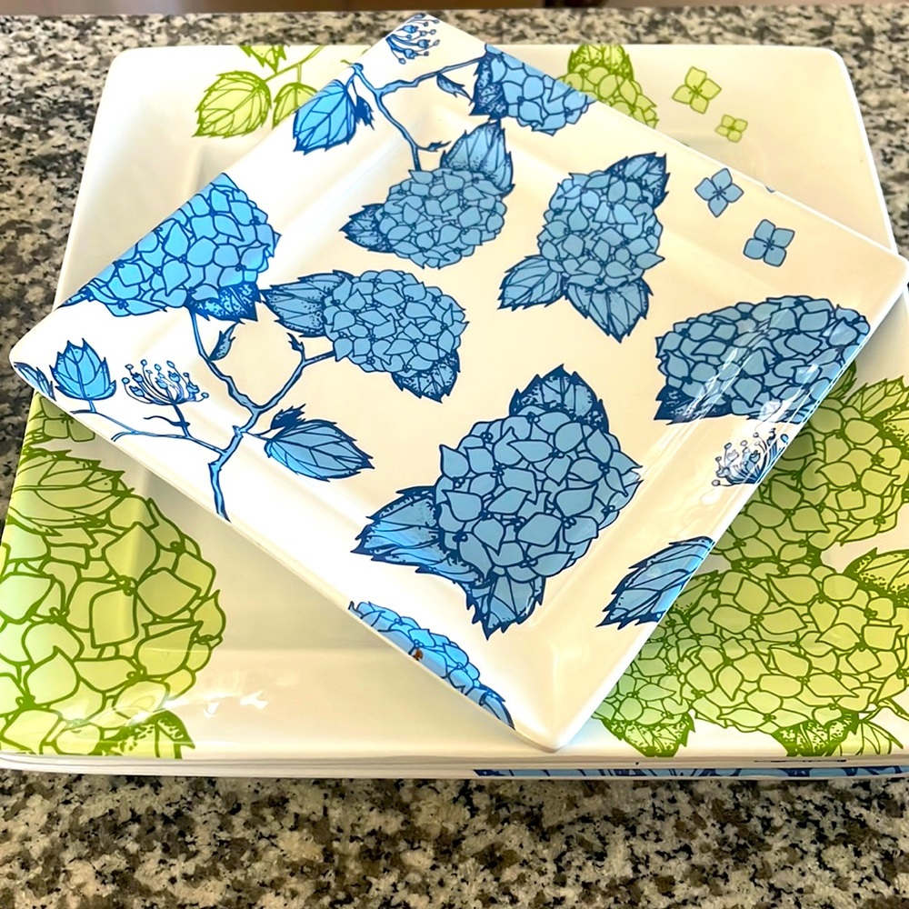 Sur La Table dinner and salad plates